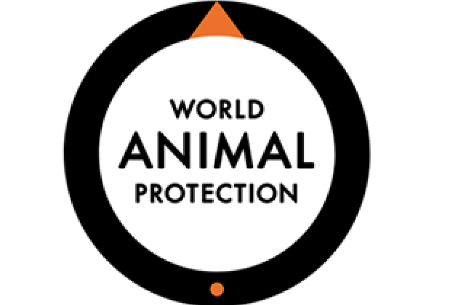 World Animal Protection